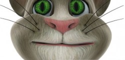 About Talking Tom Cat app