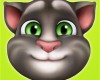 My Talking Tom Features